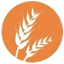 Gluten